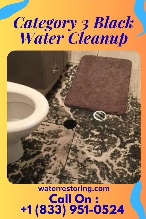 Category 3 Black Water Cleanup in Fitzgerald, GA
